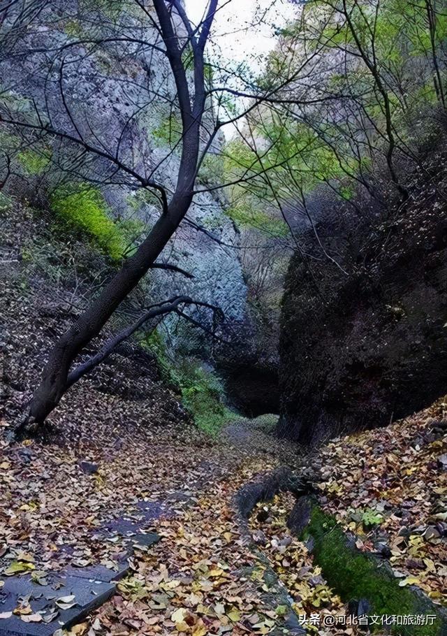 金秋塞罕坝旅行，红色旅游精品线路推介