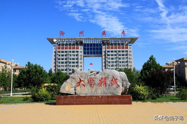 沧州职业技术学院，沧州职业技术学院排行河北（河北2022专科一批志愿分数线疯了）