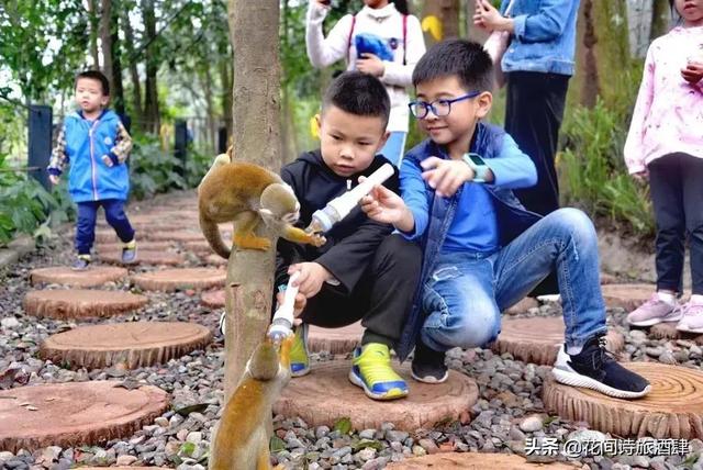 四川雅安附近又一野生动物园开业，四川雅安熊猫基地动物园