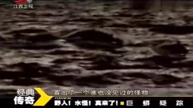 江西卫视直播观看，江西卫视现场直播收看