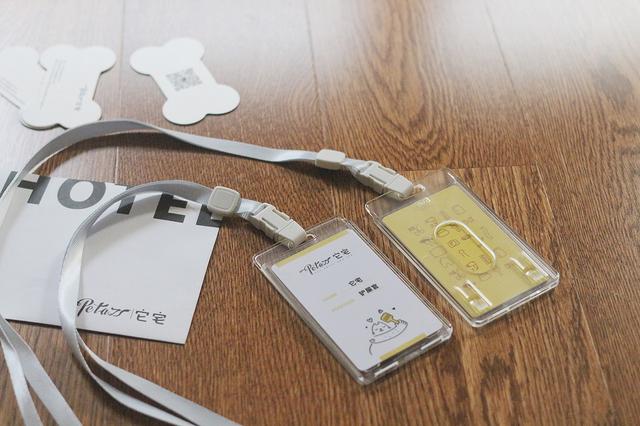 开个宠物店logo设计，的宠物品牌VI设计