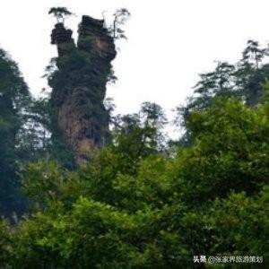 张家界旅游几月份去好，去张家界几月份旅游最好时间（张家界旅游什么时候去最好）