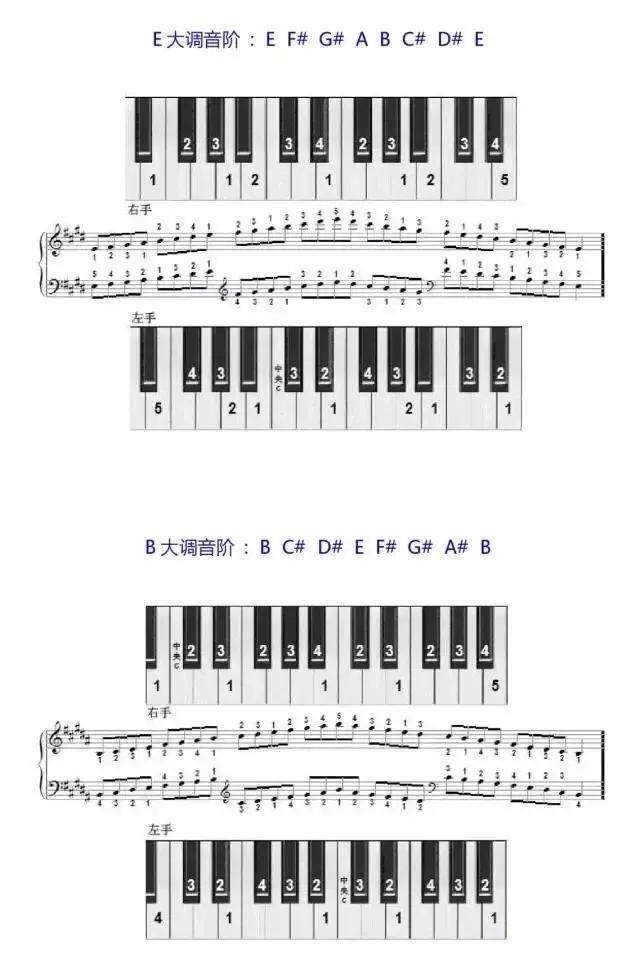 钢琴音阶指法对照表口诀，钢琴必备音阶指法图