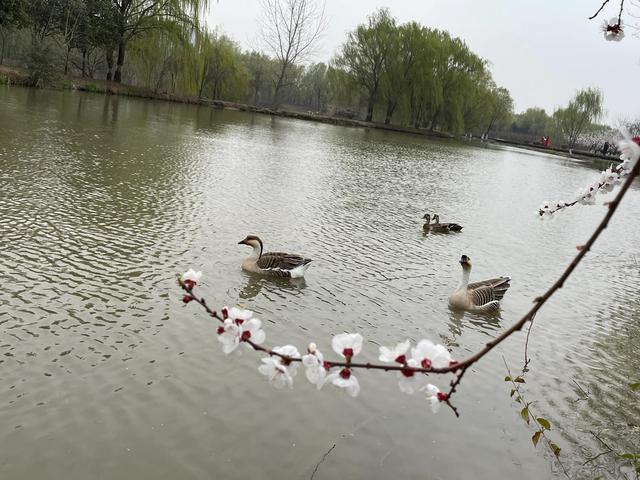 沾衣欲湿杏花雨的下一句，沾衣欲湿杏花雨后面一句是什么（吹面不寒杨柳风。诗句常被引用）