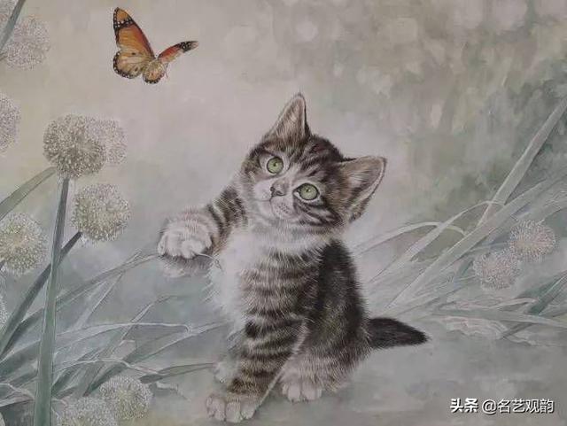 100种小猫怎么画，100种画真猫的画法（教你在纸上养个主子）