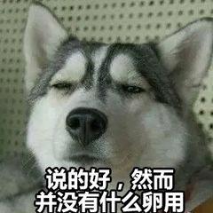 有没有必要买蜂窝版苹果手表，路上捡了个400块的苹果手表