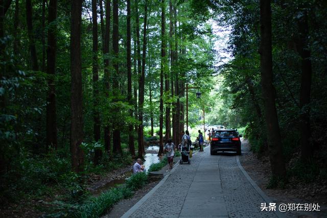 杭州冷门爬山路线，杭州登山路线08最好在这里