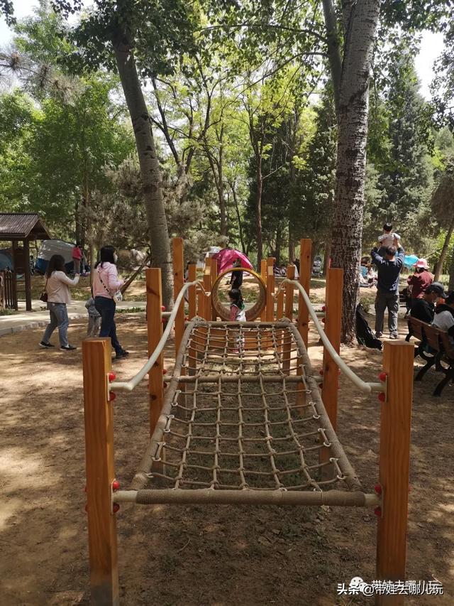 南宫旅游十大必去景点，假日乡村打卡丨夏日来南宫看民族主题花车巡游