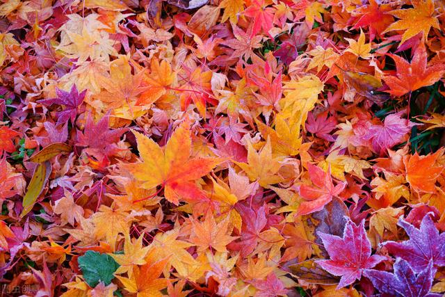 十句金句经典语句，经典的43句短句语录