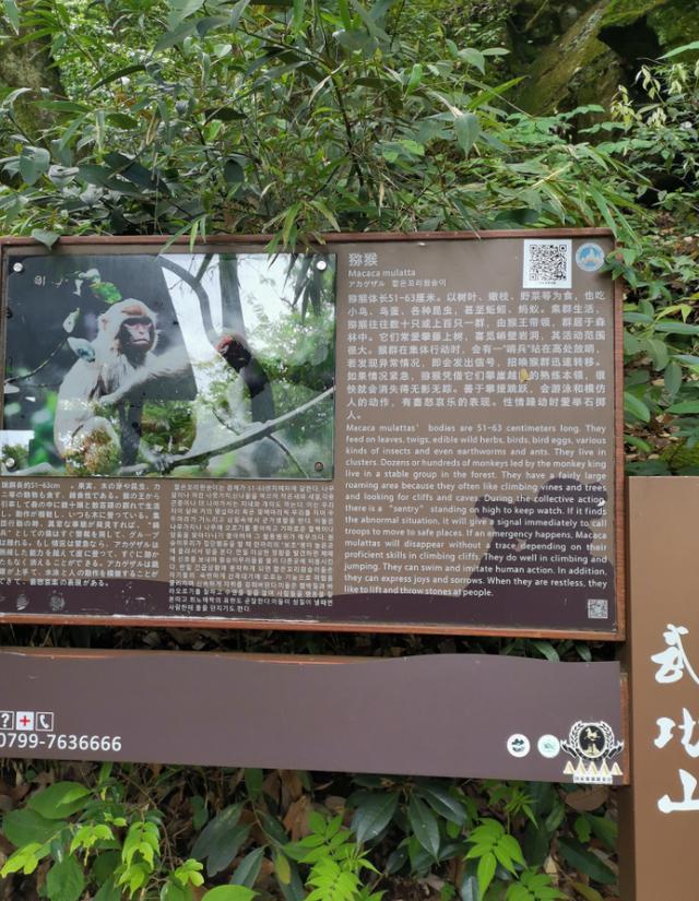 武功山旅游攻略，武功山旅游攻略一日游（江西武功山\u0026仙凤三宝亲子游记）