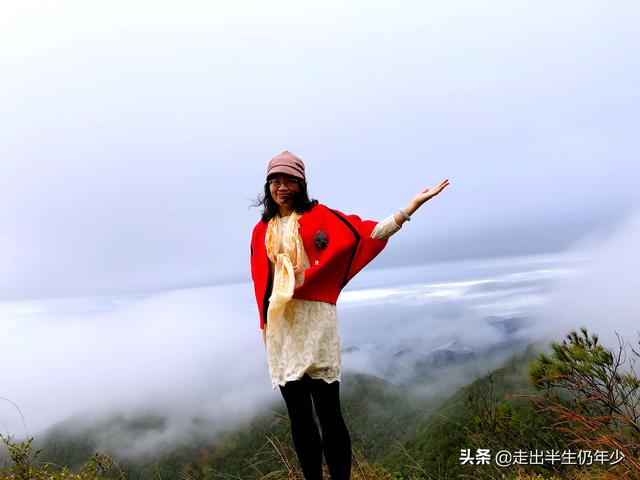惠州市区旅游攻略自由行攻略，惠州最值得游玩的N个地方