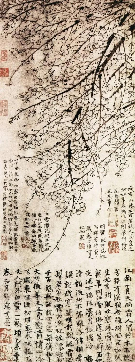 写意梅花100种画法，构图一百例，学完够用了
