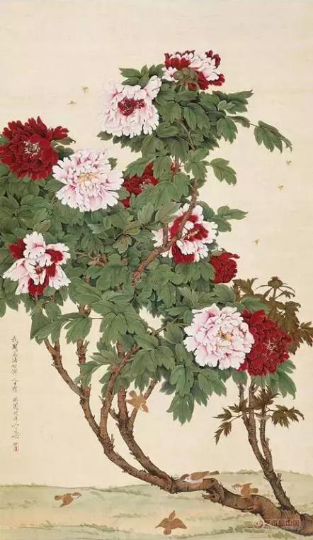 牡丹鉴赏实力画家笔下的牡丹风华，实力画家笔下的牡丹风华