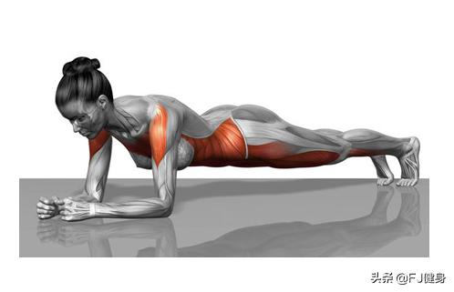 平板支撑世界纪录，官方最新平板支撑世界纪录