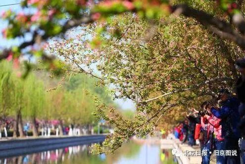 胡同是什么走向，整天说胡同