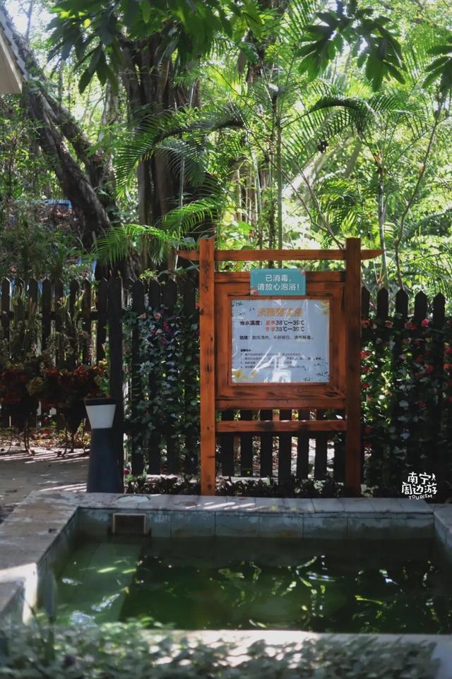 南宁附近花海景点推荐，南宁这几处花海，美了