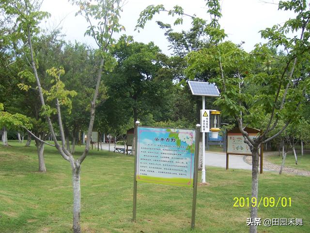 连云港新浦公园，连云港新浦公园在什么位置