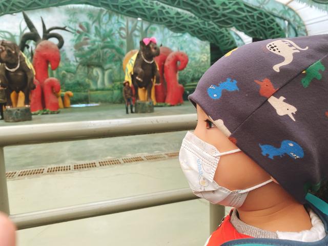 常州中华恐龙园，常州中华恐龙园游玩攻略