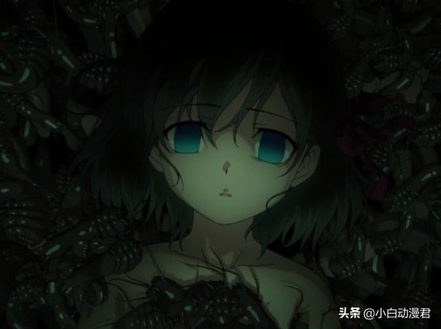 盘点动漫中的女主你认识几个，动漫女主都是作者的亲女儿