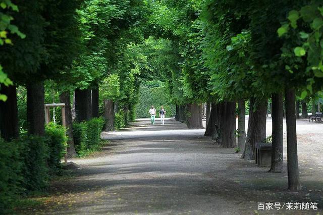 若有来生随着时光变迁愈走愈远，如果有来生要做一棵树