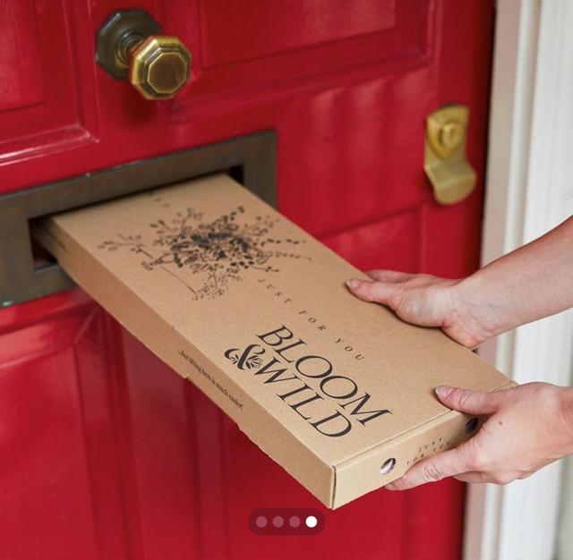 互联网花店的市场分析，3家外国线上花店