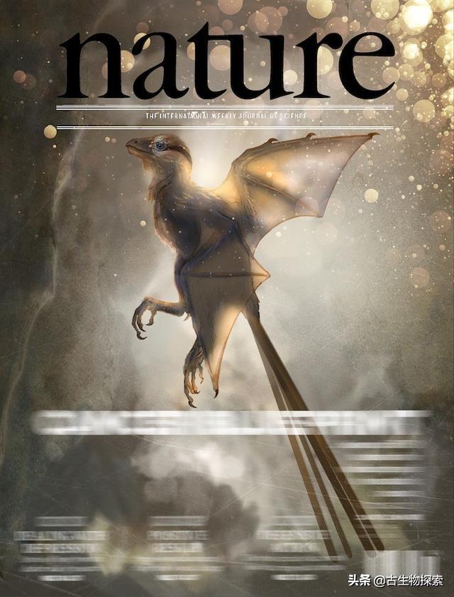 恐龙种类中脖子最长的腕龙，长颈巨龙的杰出代表