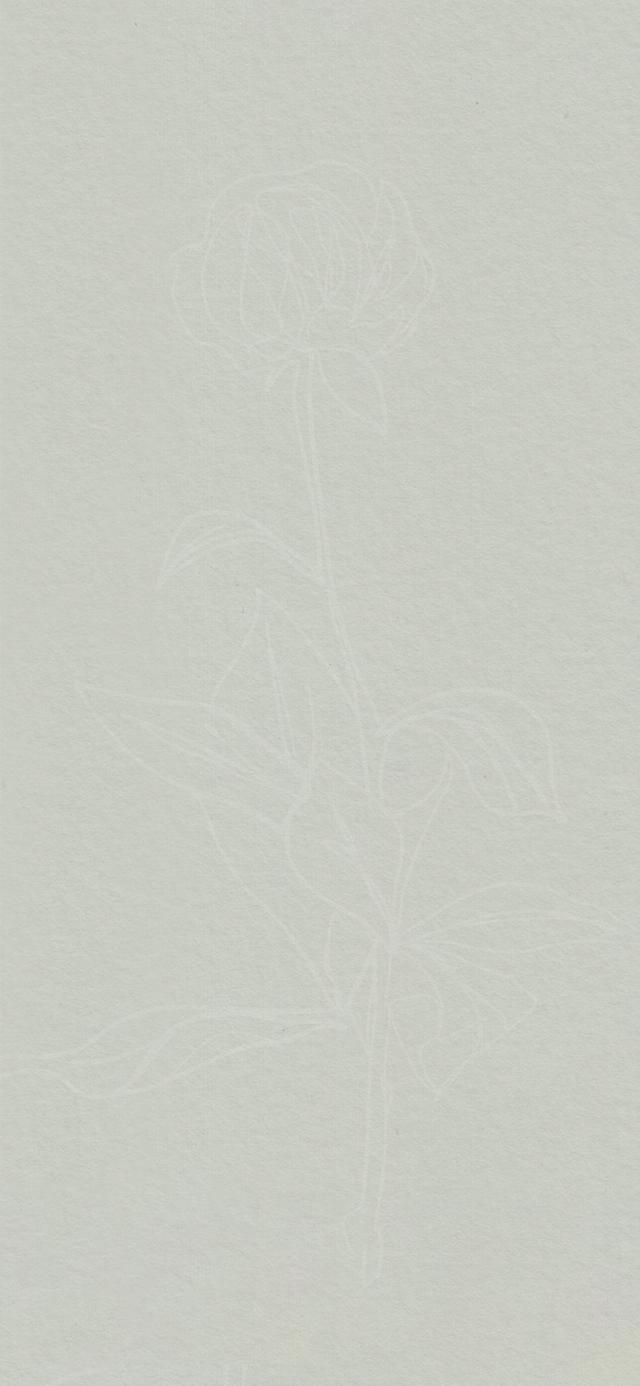 手机桌面壁纸小清新简约高清，简约壁纸小清新壁纸