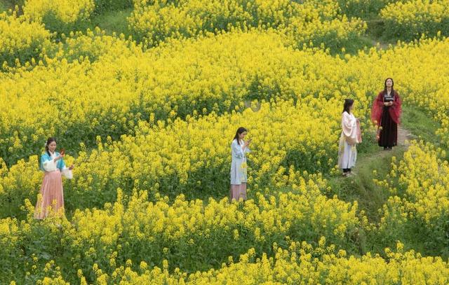 3月旅游的最佳地点，3月去什么地方旅游最好呢（三月份旅游一定要去的六个地方）