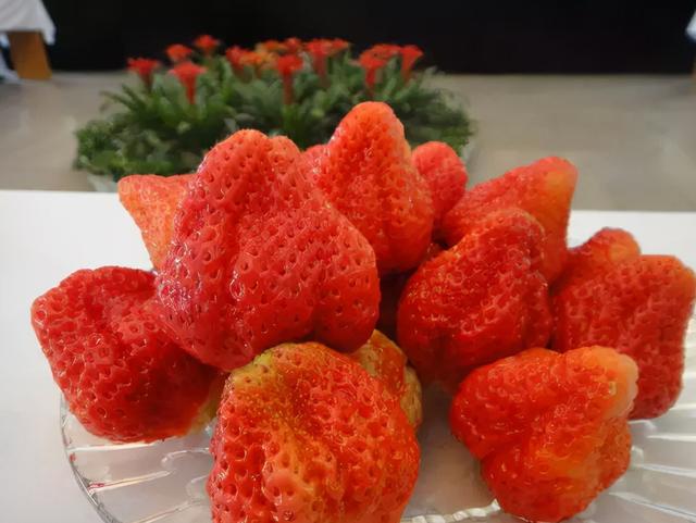 淮南是哪个省的，安徽淮南市属于哪个市（为何淮南房价如此之低）