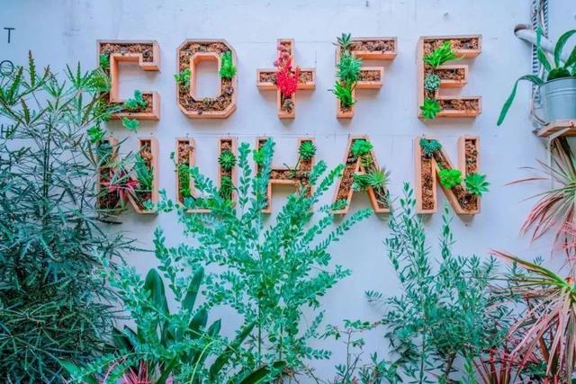 武汉大学的樱花，武汉大学赏樱花去哪里（报！武汉大学早樱开了）