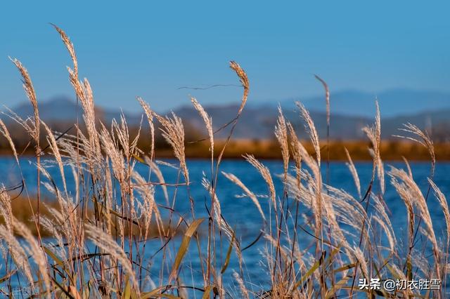 霜降最美诗词句，霜降节气诗词四首