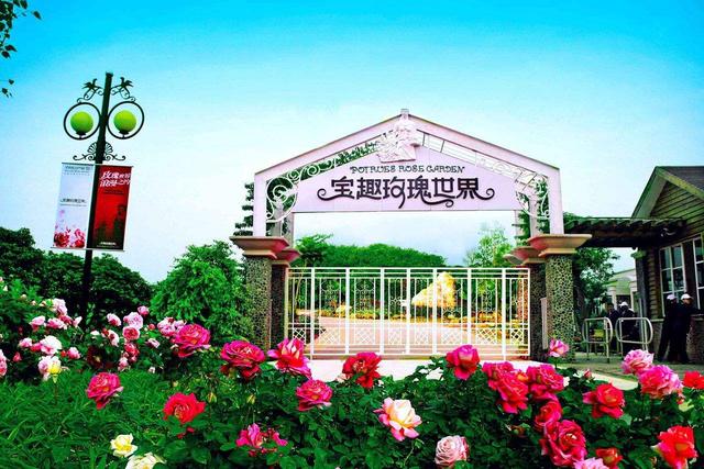 从化旅游景点大全，从化一日游旅游攻略大全（打卡吕田鹰嘴桃花+罗洞工匠小镇麦浪+莲麻小镇）