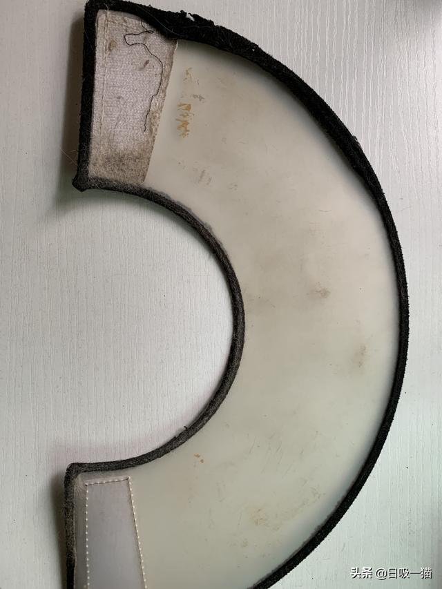 如何第一次给猫咪剪指甲，教你如何给猫咪剪指甲