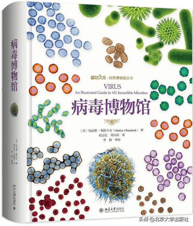 推荐几本最好的科普书，推荐几本能提升认知力的好书