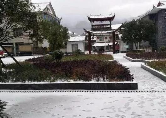 严重雪灾是哪一年，还记得10年前那场百年难遇的大雪灾吗