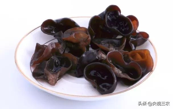 木耳食用的注意事项，黑木耳泡发不当或有生命危险