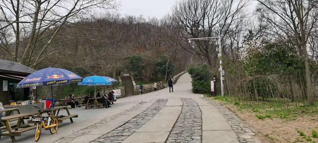 南京紫金山登山路径，南京紫金山登山线路攻略