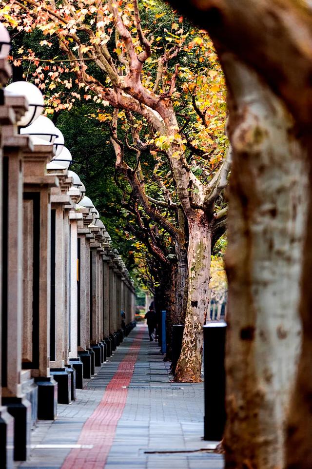 上海的老洋房故事，上海一幢70余年历史老洋房引发官司