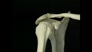 自己怎么开肩效果最好，上来就盲目开肩