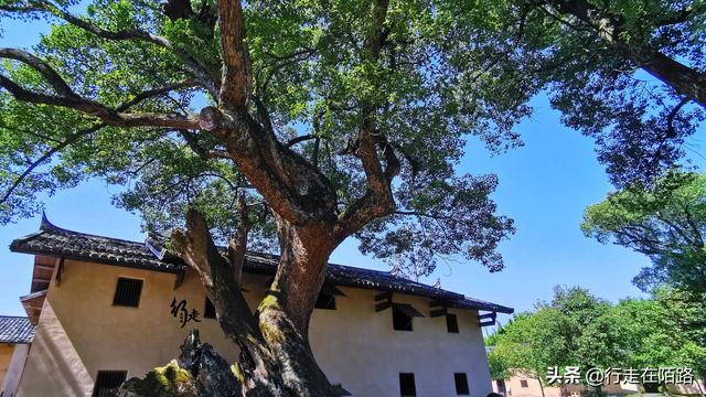 瑞金市旅游景点，江西瑞金市旅游景点排名（江西赣州值得推荐的18个旅游景点）