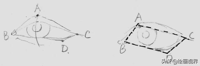 怎样画眼睛新手入门简单易学，新手画好插画人物脸部教程