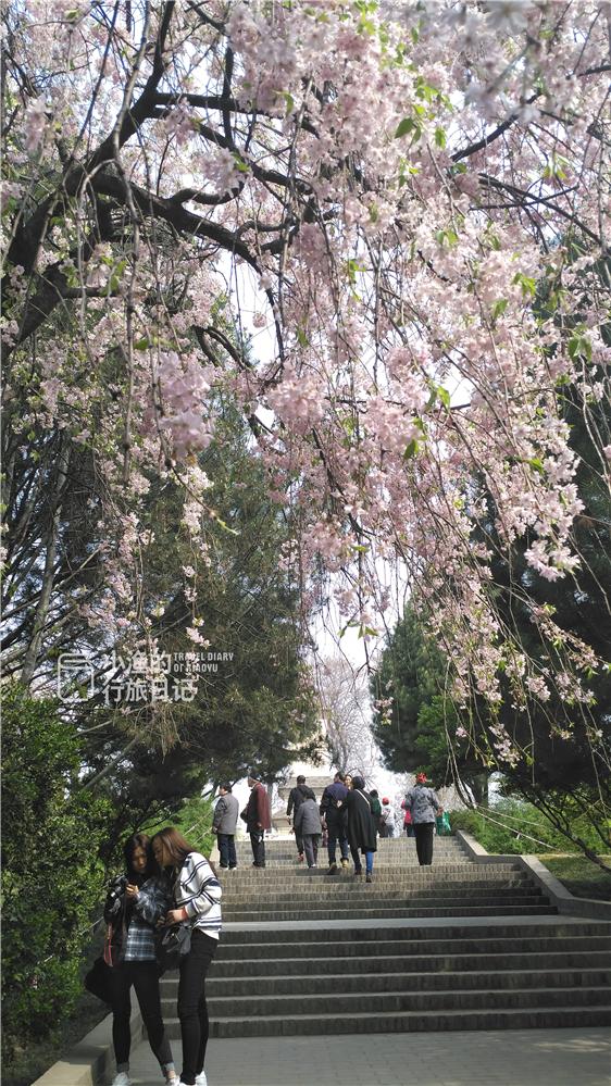 西安清净的寺庙，西安闻名遐迩的十大佛教寺院