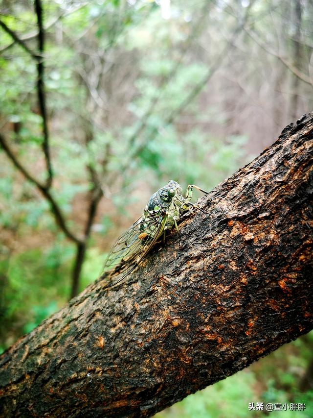 北京佛教红螺寺，探京北第一巨刹红螺寺的须弥胜境