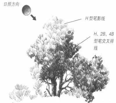 简单好画的风景速写 初学者，老师都是从基础画起来的