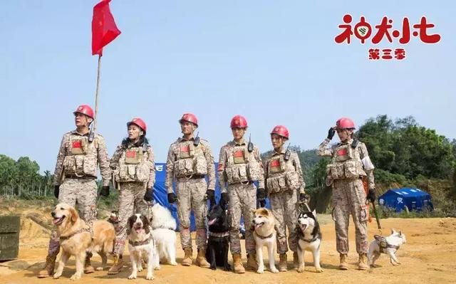 神犬小七第三部，姜潮宋妍霏携手萌娃救援现场展实力