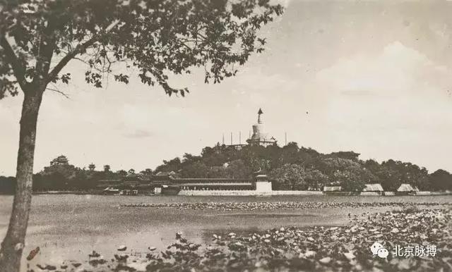 北海公园的文化底蕴，画说北京北海公园的前世今生