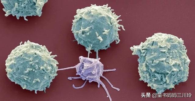 儿童科普纪录片，适合儿童看的科普片（9部孩子必看的顶级纪录片）