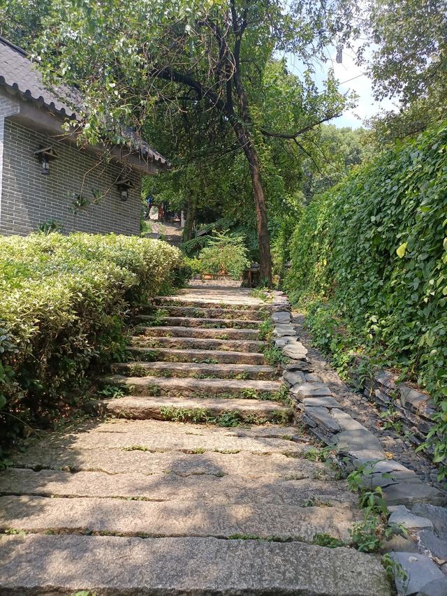 长沙市内十大公园，长沙本地人告诉你这10个地方不能少