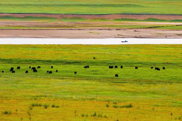 川西旅游攻略理塘，除了被丁真带火的理塘