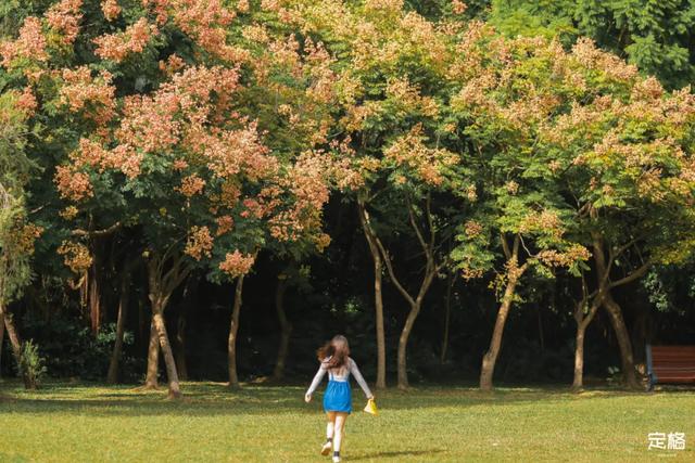莲花山公园 网红打卡地，莲花山公园又红了